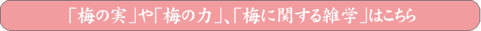 �~�̎��A�~�̗́A�~�Ɋւ���G�w�̃y�[�W